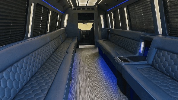 bellevue 20 passenger party bus