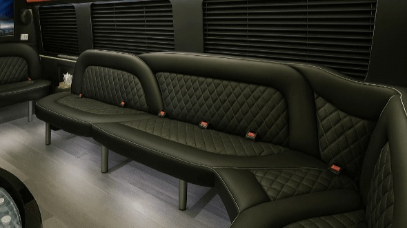 Nebraska 14 passenger sprinter limousine interior